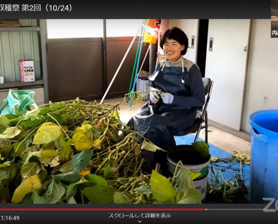 【10月24日】黒枝豆収穫作業とオンライン収穫祭！