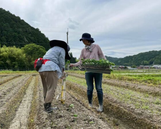 6/20の黒豆畑活動報告！