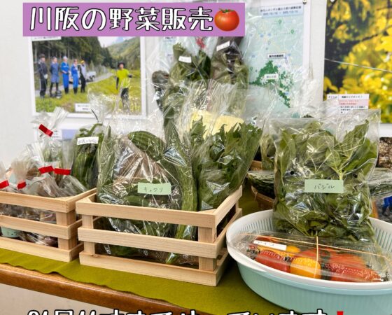 川阪の野菜販売