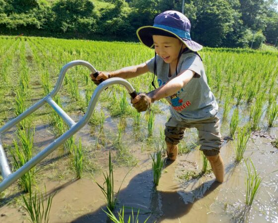 川阪田んぼの草取り＆イベント開催
