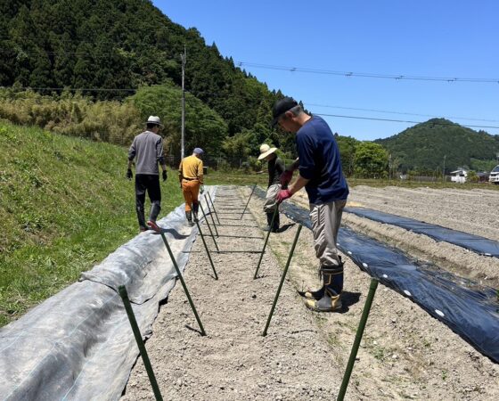 今週のさとぼら案内＆6月の活動予定