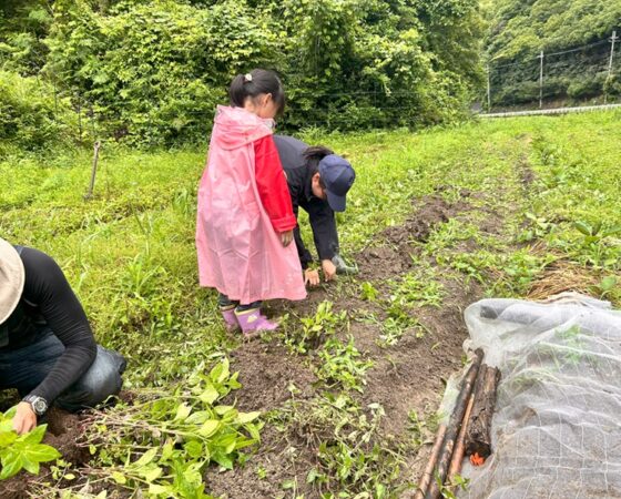 川阪OPF　黒豆の苗植え