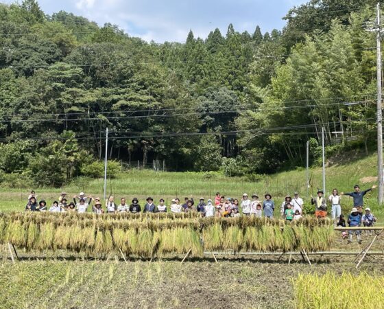 稲刈りイベント