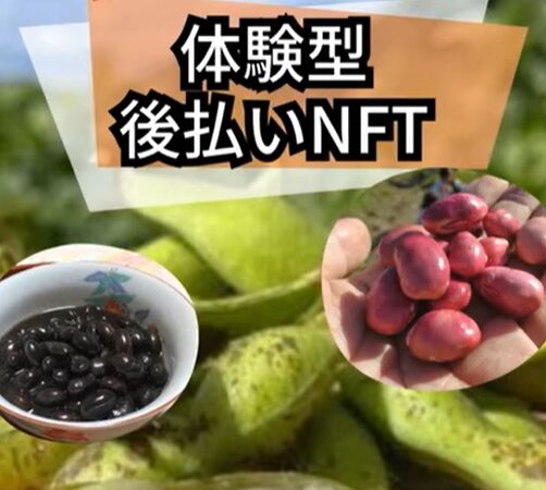 日本初？黒豆を後払いNFT