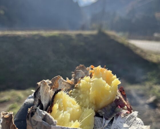 土づくりと焼き芋