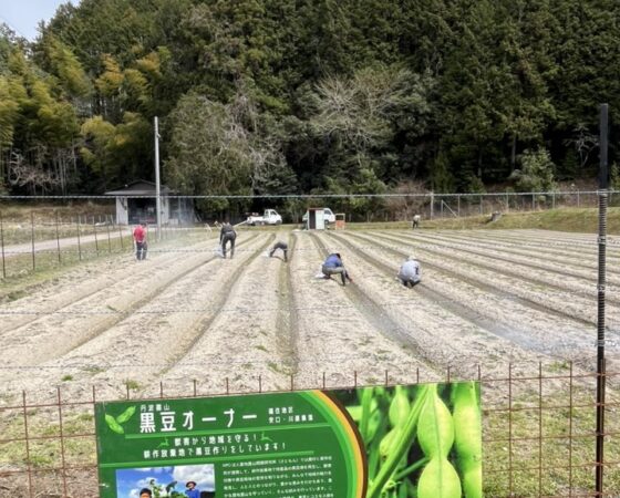 2025年度黒豆畑始動