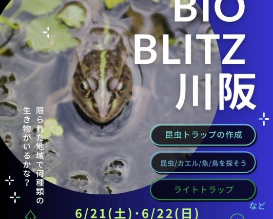 Bio Blitz 川阪