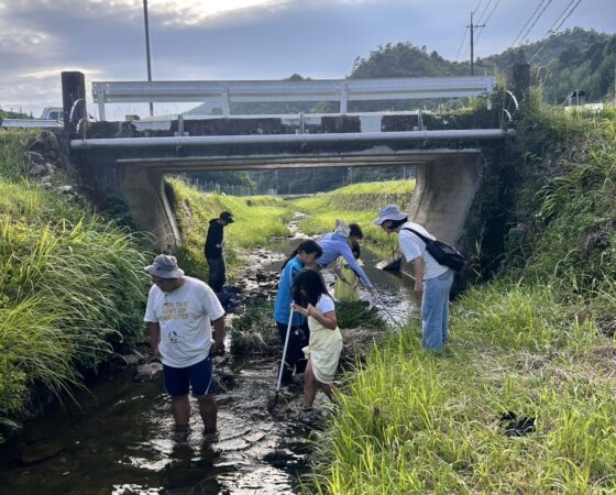 Bio Blitz 川阪