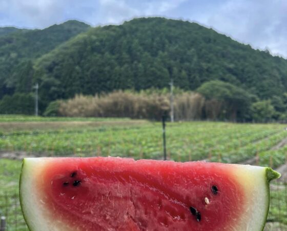 今週のさとぼら＆今後のさとぼら活動予定