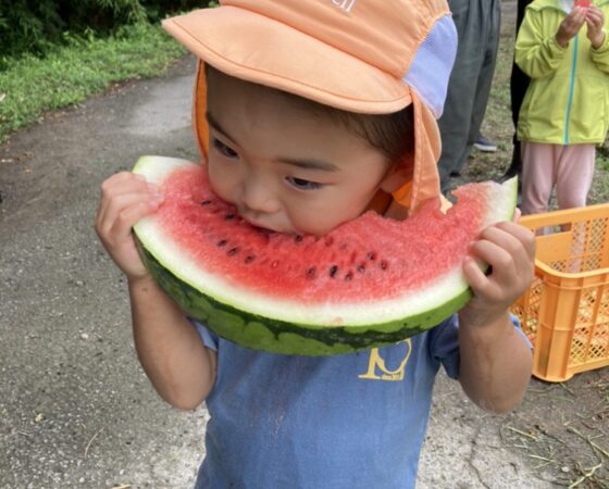 8月9日黒豆ボランティア