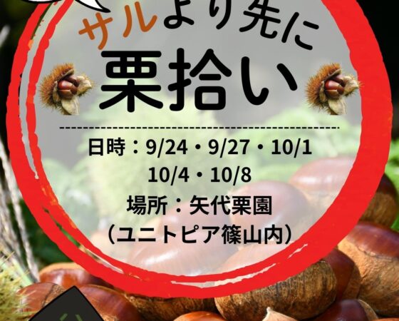サルより先に栗拾い