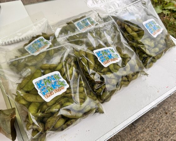 今週のさとぼら&今後のさとぼら活動予定