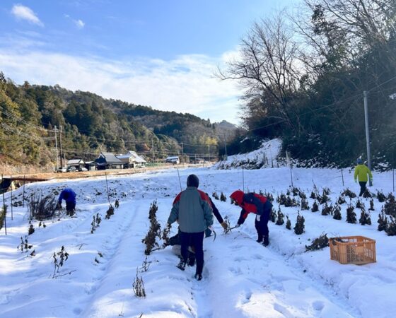 今週のさとぼら＆今後のさとぼら活動予定