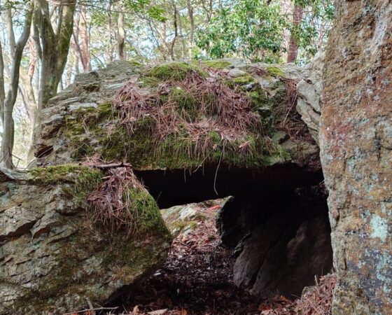 川阪山城跡探し＆こんにゃく作り