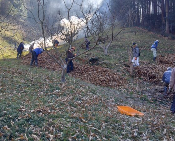 【募集中!】2月28日 矢代栗園ボランティア作業