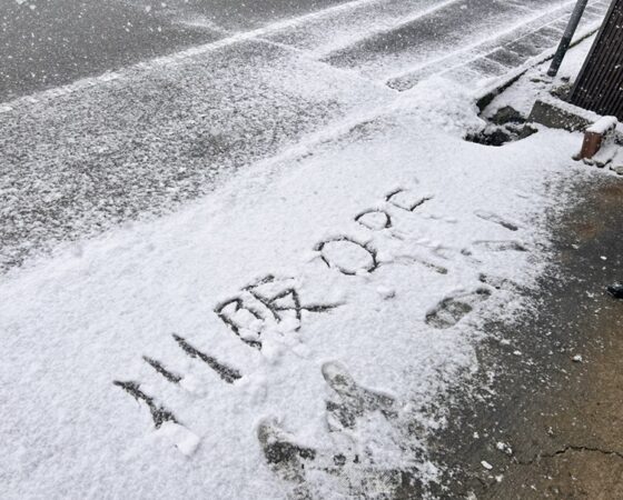 今週のさとぼら&今後のさとぼら活動予定