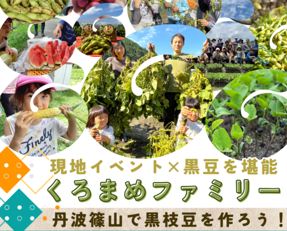 黒豆ファミリー2026募集開始