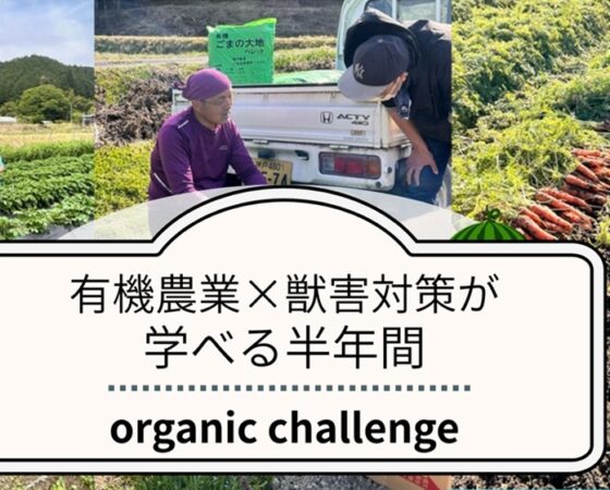 オーガニックチャレンジ2026募集中