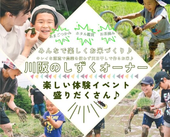 無農薬・天日干し米への挑戦！『川阪のしずくオーナー』