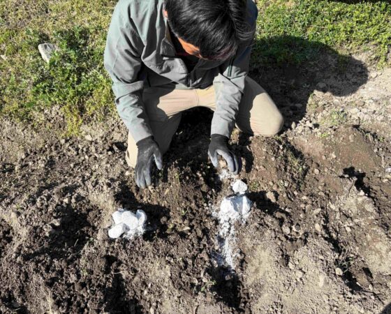 4月９日・１１日黒豆畑作業