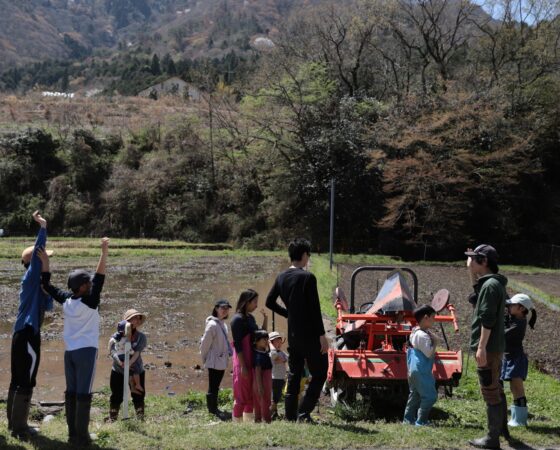代掻き＆生き物調査