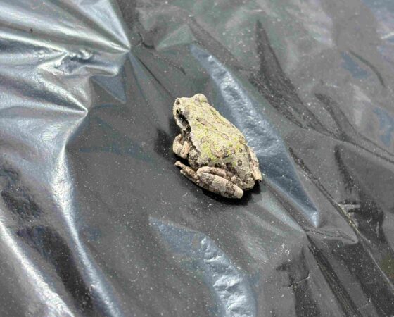 4月20日　有機農業について学ぶ！