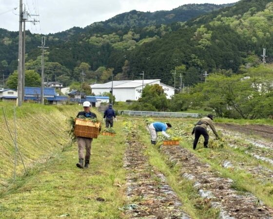 【4月27日　有機農業について学ぶ！ 4】