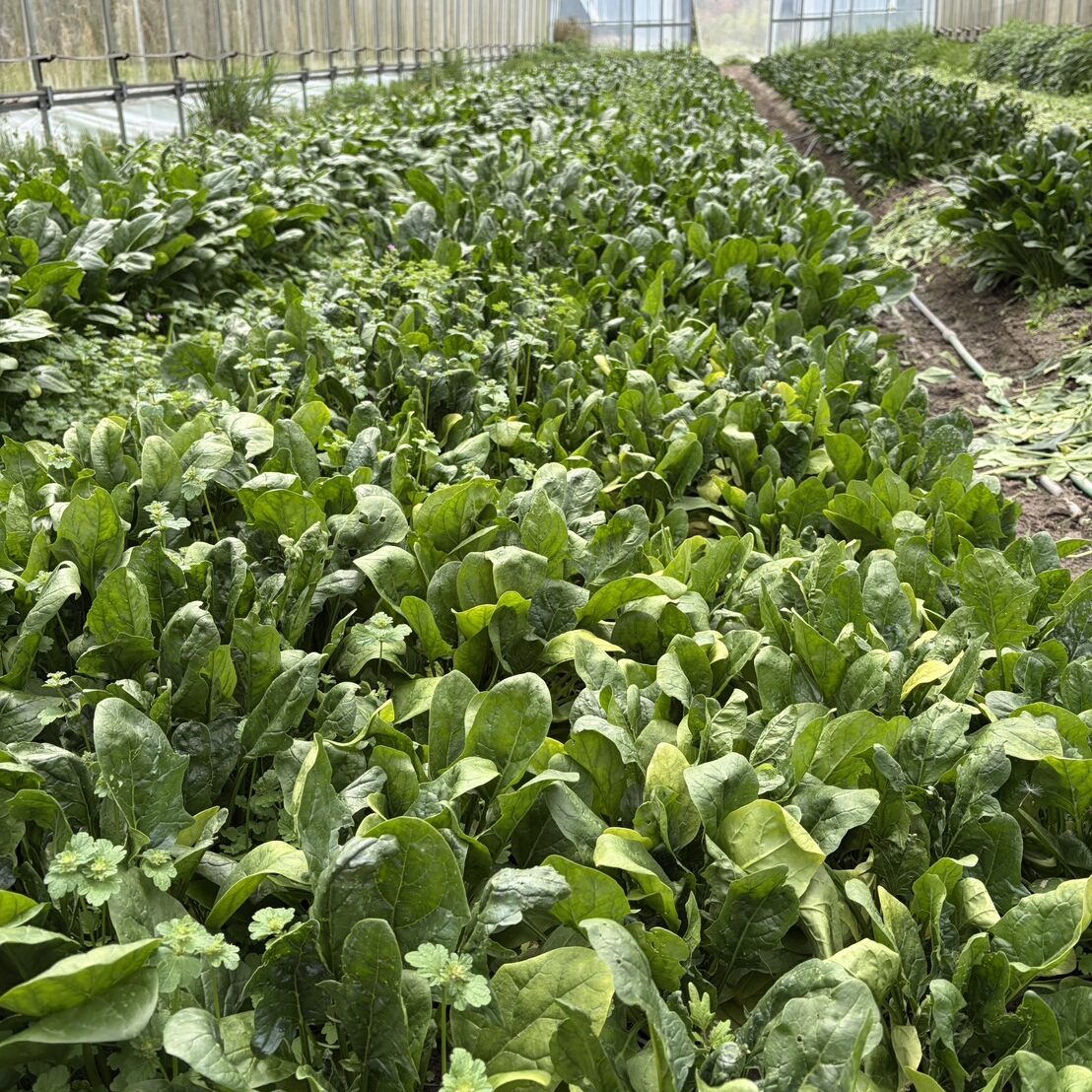 画像に alt 属性が指定されていません。ファイル名: IMG_6352-edited.jpg