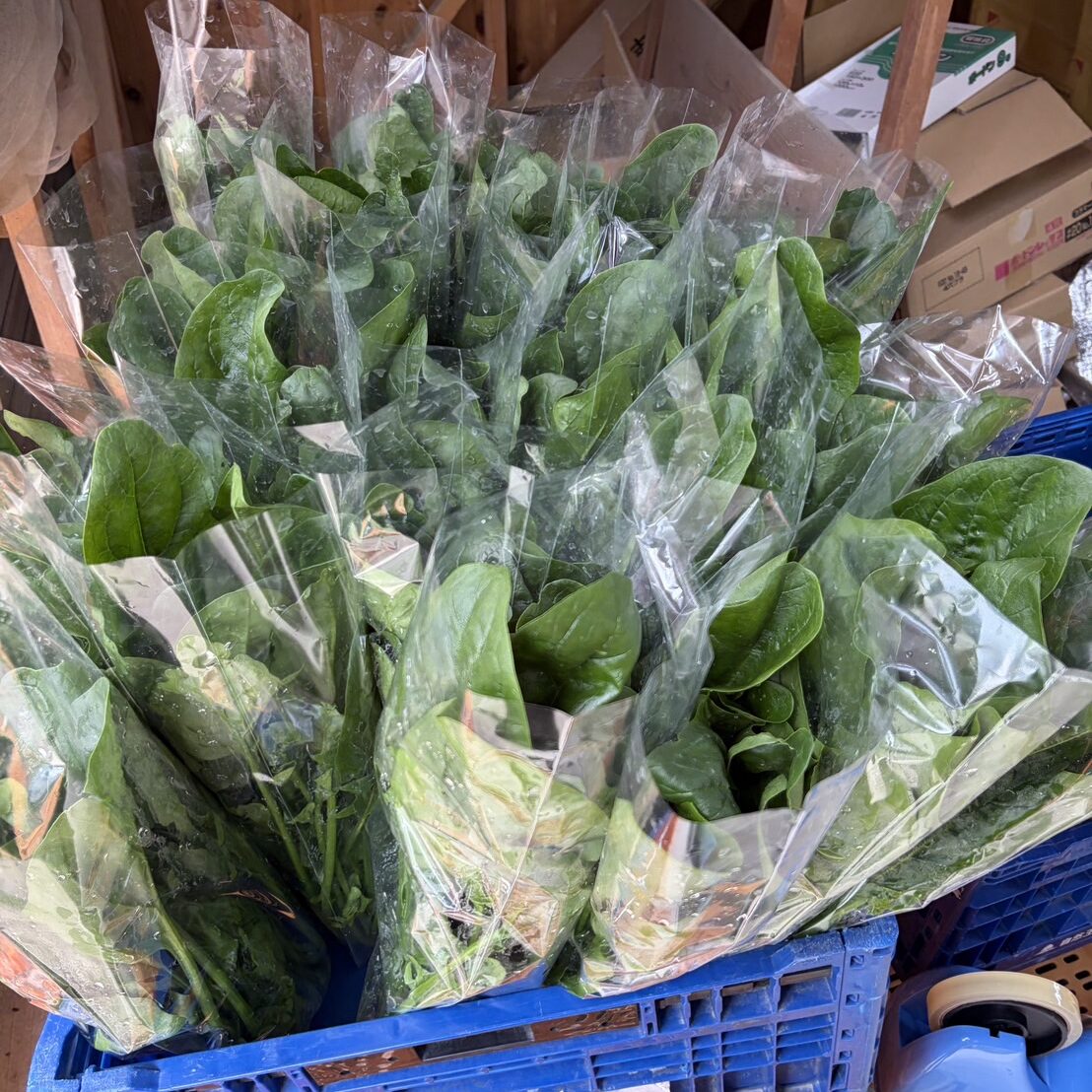 画像に alt 属性が指定されていません。ファイル名: IMG_6355-edited.jpg