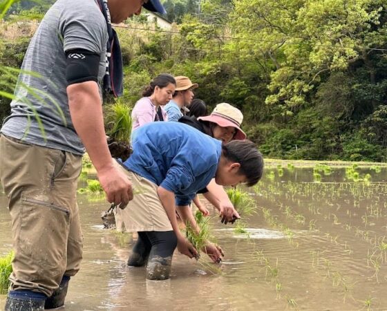 【4月29日：川坂のしずくオーナー•田植えイベント】
