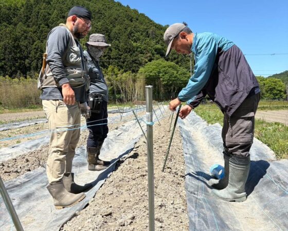 【5月17日: 黒豆オーナー作業日】