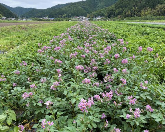 6月5日 有機農業を学ぶ！14