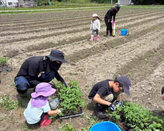 6月21日 黒豆ファミリー苗植えイベント