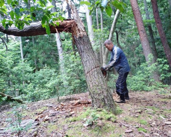 【6月7日: 桑原の獣害柵点検・川阪OPF 獣害柵の補修作業】