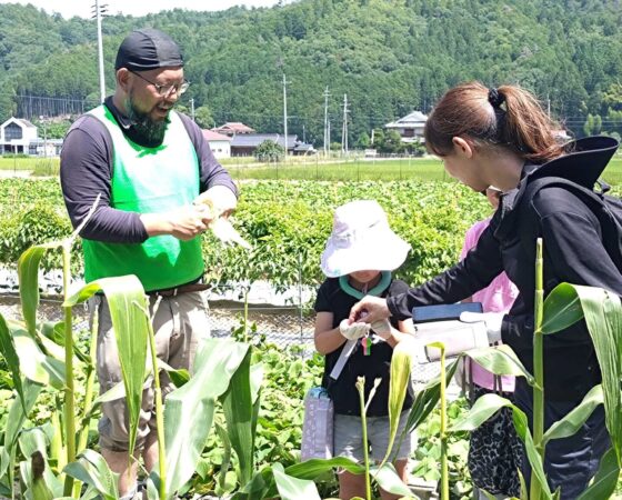 7月26日　黒豆作業