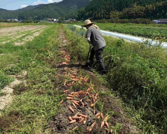 【7月13日　有機農業を学ぶ！ 24】