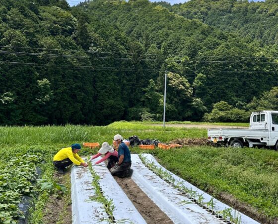 【7月３日: 有機農業を学ぶ！22】