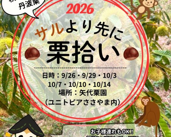 サルより先に栗拾い!ボランティア募集!