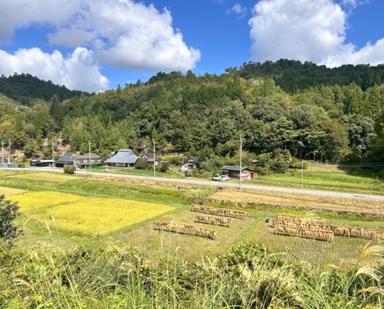 今後のさとぼら活動予定