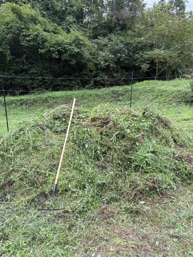 画像に alt 属性が指定されていません。ファイル名: IMG_8388-768x1024.jpg