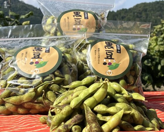 黒豆収穫・販売ボランティア募集